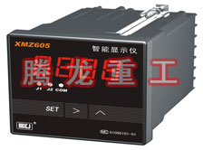 溫度表、數(shù)字顯示儀、濕度表