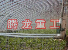 大棚花卉供暖設(shè)備、大棚卉采暖設(shè)備、大棚花卉取暖設(shè)備