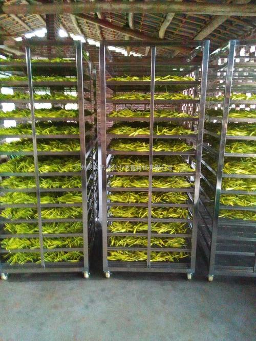 黃花菜烘干機(jī)、黃花菜烘干設(shè)備、黃花菜干燥機(jī)、黃花菜干燥設(shè)備、